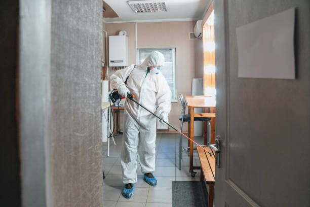  Harwood Heights, IL Mold Removal Pros