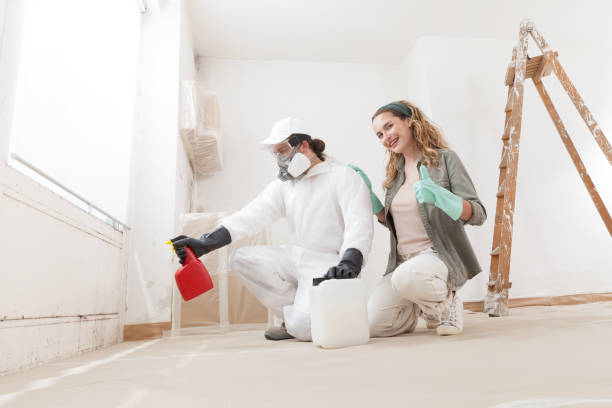 Mold Odor Removal Services in Harwood Heights, IL